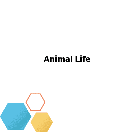 Animal Life